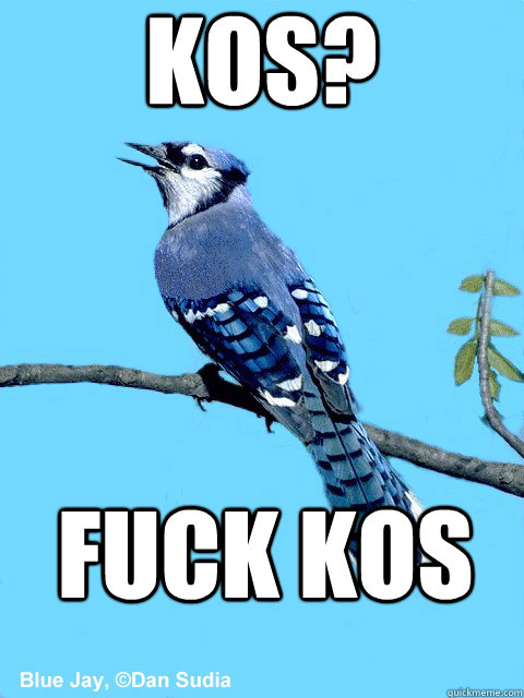 Kos? Fuck Kos - Kos? Fuck Kos  Blue Team Bird