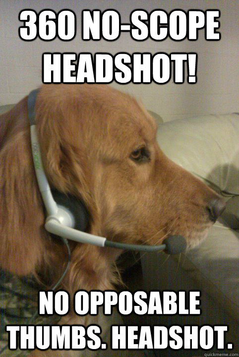 360 NO-SCOPE HEADSHOT! NO OPPOSABLE THUMBS. HEADSHOT. - 360 NO-SCOPE HEADSHOT! NO OPPOSABLE THUMBS. HEADSHOT.  Xbox Live Dog