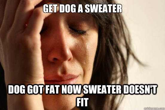 get dog a sweater dog got fat now sweater doesn't fit  First World Problems