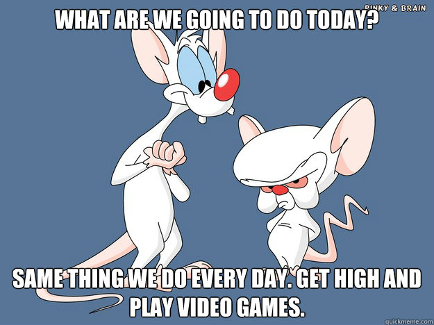 What are we going to do today? Same thing we do every day. Get high and play video games.  