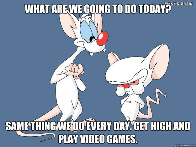 What are we going to do today? Same thing we do every day. Get high and play video games. - What are we going to do today? Same thing we do every day. Get high and play video games.  Misc