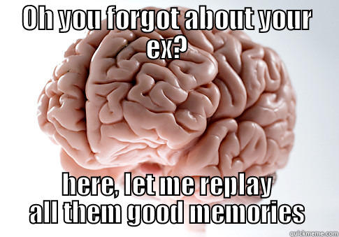 OH YOU FORGOT ABOUT YOUR EX? HERE, LET ME REPLAY ALL THEM GOOD MEMORIES Scumbag Brain