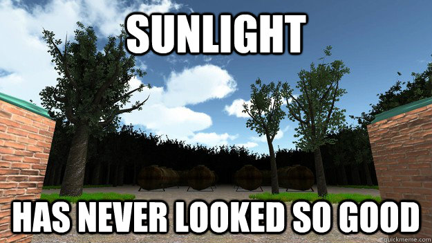 Sunlight Has never looked so good  