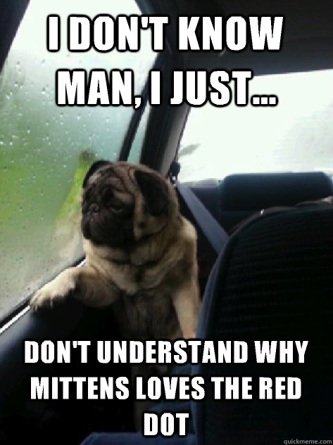 I don't know man, I just... don't understand why mittens loves the red dot  Introspective Pug