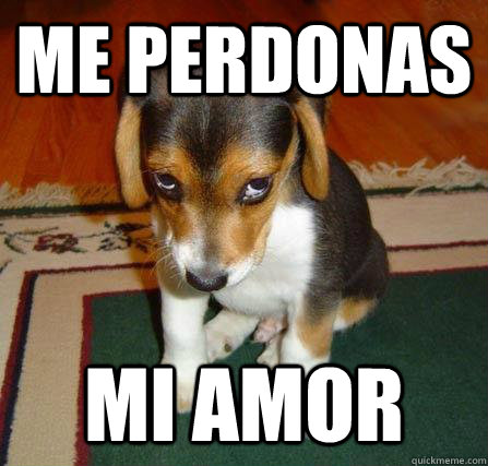 me perdonas mi amor - me perdonas mi amor  me perdonas amor