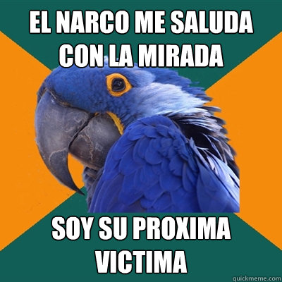 EL NARCO ME SALUDA CON LA MIRADA SOY SU PROXIMA VICTIMA  Paranoid Parrot