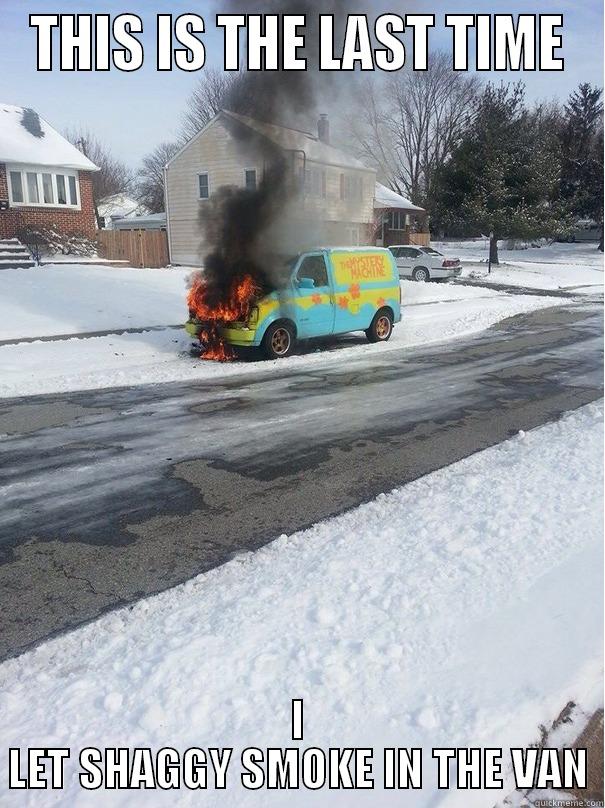 THIS IS THE LAST TIME I LET SHAGGY SMOKE IN THE VAN Misc