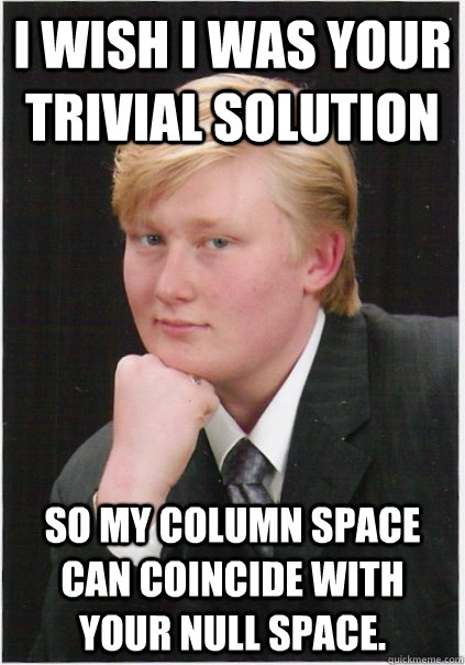 I wish I was your trivial solution So my column space can coincide with your null space. - I wish I was your trivial solution So my column space can coincide with your null space.  Seductive Nerd