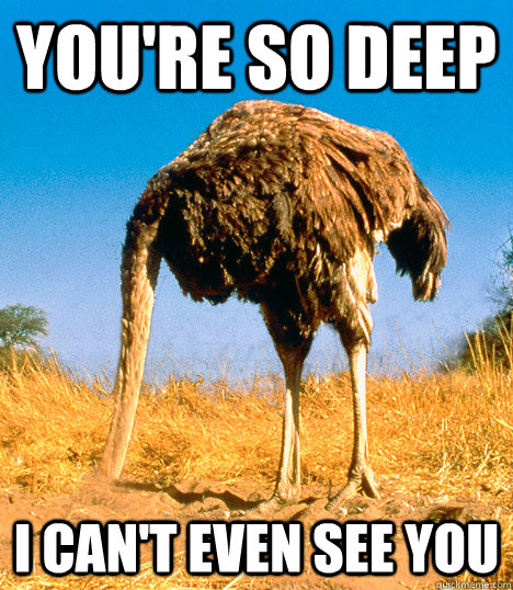 YOU'RE SO DEEP I CAN'T EVEN SEE YOU  Reflecting Ostrich