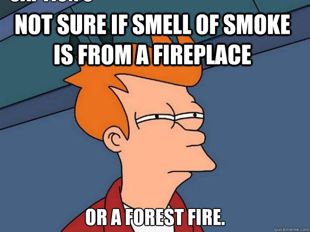 Not sure if smell of smoke is from a fireplace or a forest fire. Caption 3 goes here  Futurama Fry
