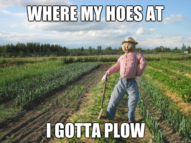 where my hoes at I gotta plow  Scarecrow