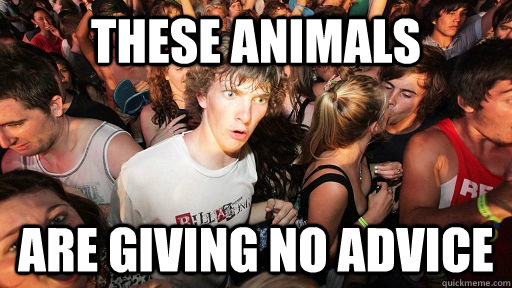 these animals are giving no advice  Sudden Clarity Clarence