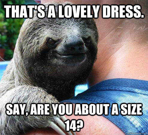 That's a lovely dress. Say, Are you About a size 14?  Suspiciously Evil Sloth