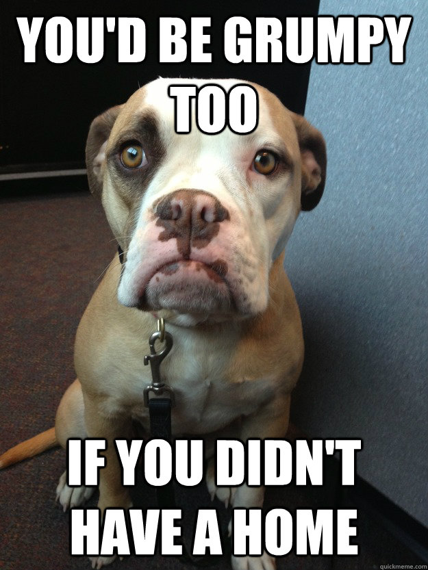 You'd be grumpy too If you didn't have a home - You'd be grumpy too If you didn't have a home  Misc