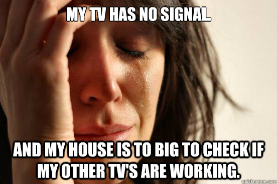 My TV has no signal. And my house is to big to check if my other TV's are working.    First World Problems