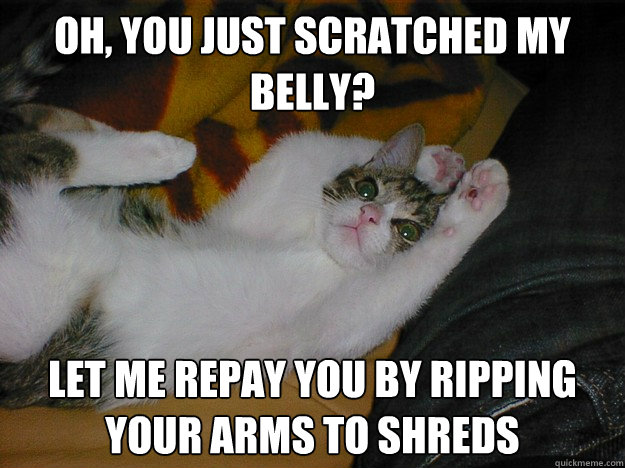 Oh, you just scratched my belly? let me repay you by ripping your arms to shreds  