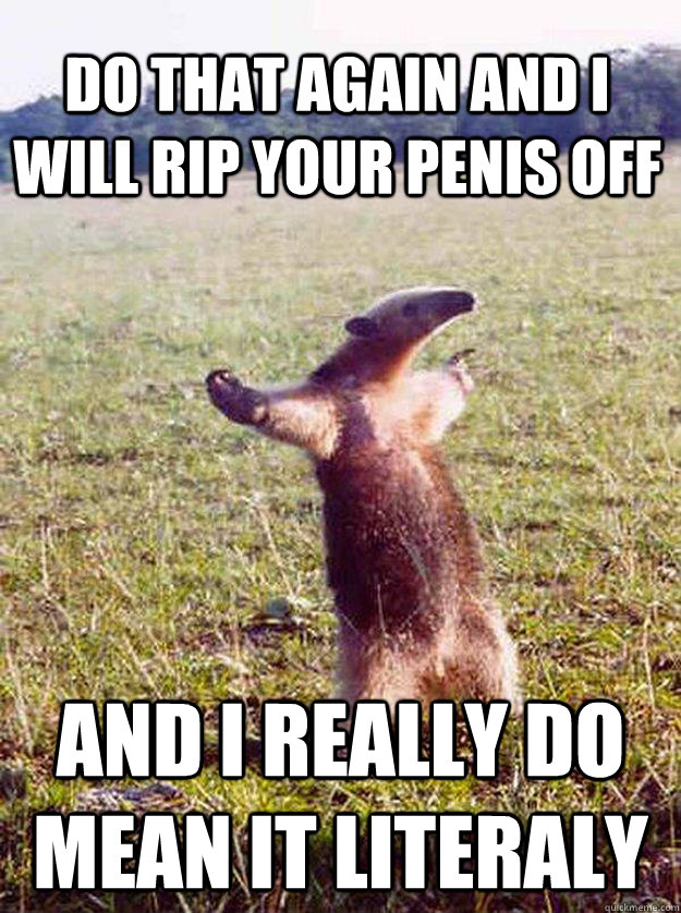Do That Again And I Will Rip Your Penis Off And I Really Do Mean It Literaly  anteater
