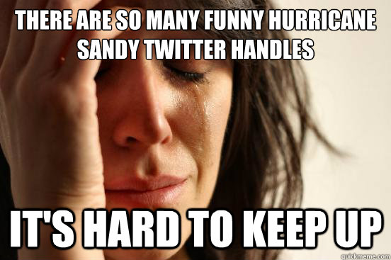 There are so many funny hurricane sandy twitter handles it's hard to keep up  First World Problems