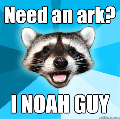 Need an ark? I NOAH GUY  Lame Pun Coon