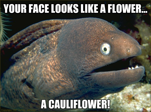 Your face looks like a flower... A cauliflower! - Your face looks like a flower... A cauliflower!  Bad Joke Eel