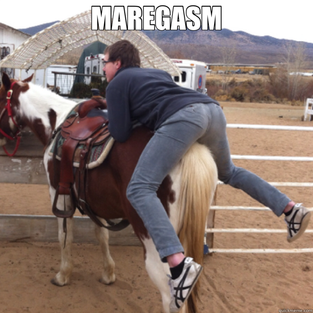 MAREGASM  - MAREGASM   sexually confused chuck