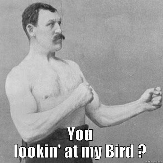  YOU LOOKIN' AT MY BIRD ? overly manly man