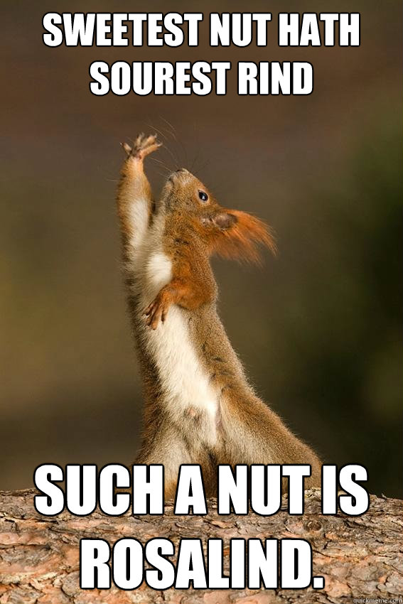 Sweetest nut hath sourest rind

 Such a nut is Rosalind.
  Shakespeare Squirrel