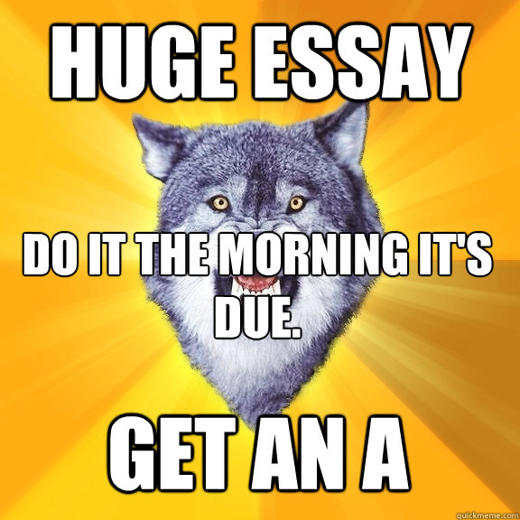Huge Essay do it the morning it's due. get an a  Courage Wolf