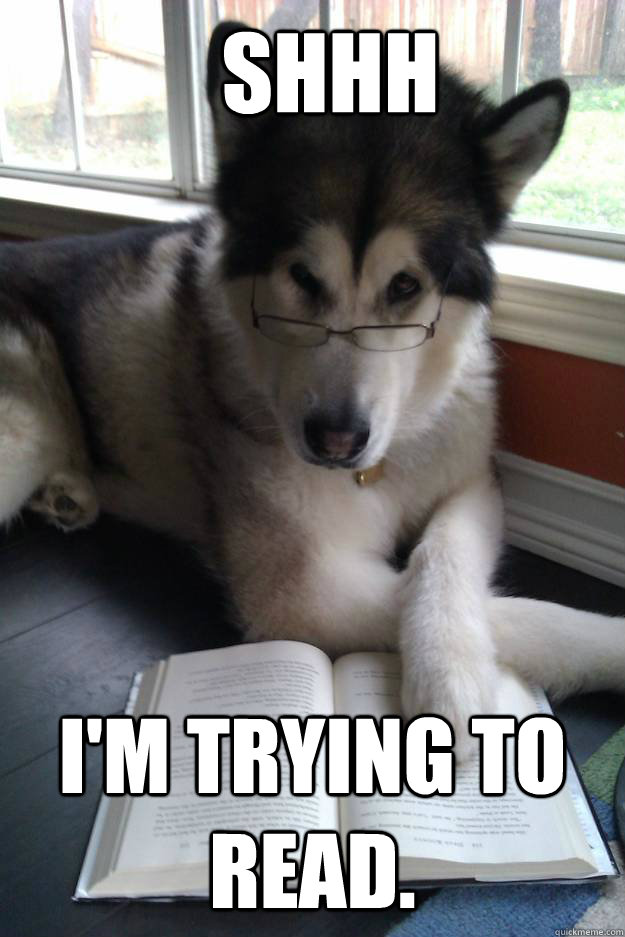Shhh I'm trying to read.  Condescending Literary Pun Dog