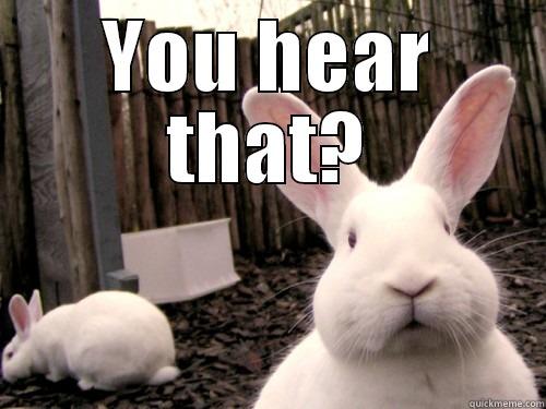 YOU HEAR THAT?  Misc