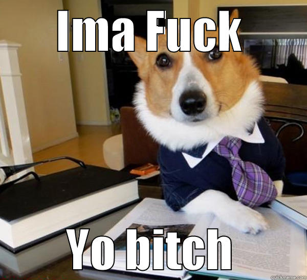 IMA FUCK YO BITCH Lawyer Dog