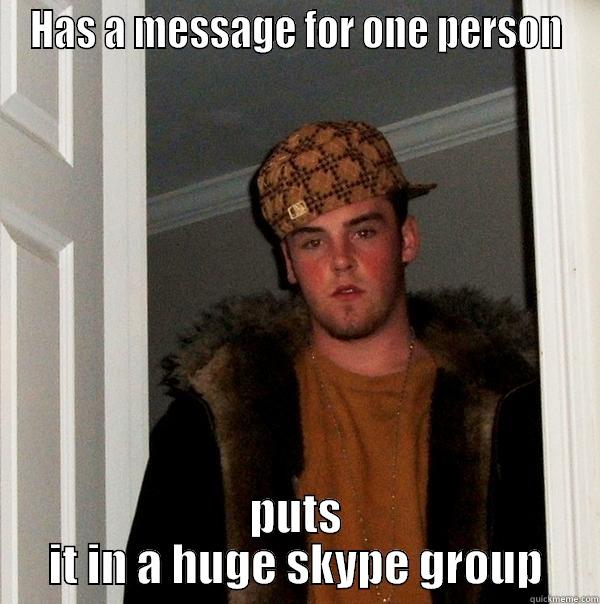HAS A MESSAGE FOR ONE PERSON PUTS IT IN A HUGE SKYPE GROUP Scumbag Steve