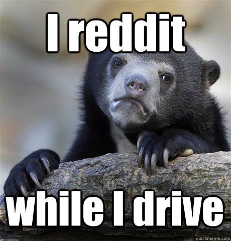 I reddit while I drive - I reddit while I drive  Confession Bear