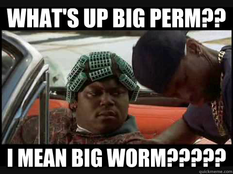 WHAT'S UP BIG PERM?? I MEAN BIG WORM?????  BIG PERM