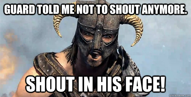 Guard told me not to shout anymore. Shout in his face!  Skyrim time wasting