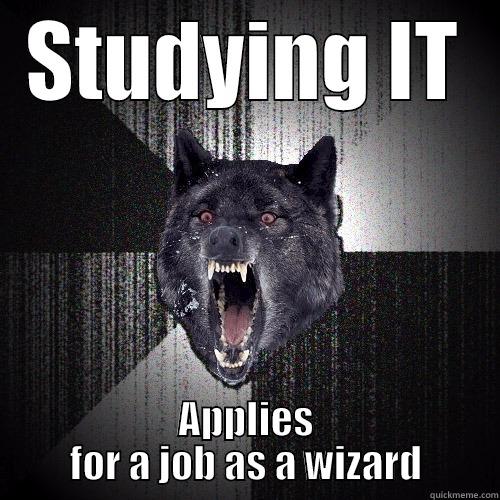 STUDYING IT APPLIES FOR A JOB AS A WIZARD Insanity Wolf