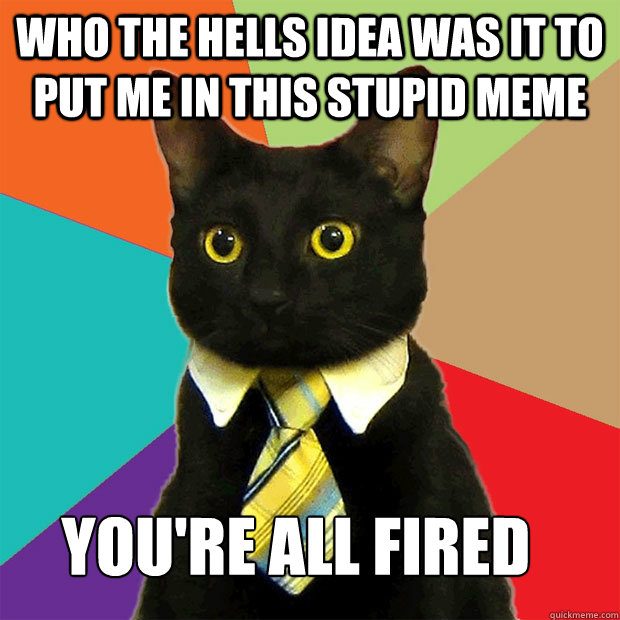 who the hells idea was it to put me in this stupid meme you're all fired  Business Cat