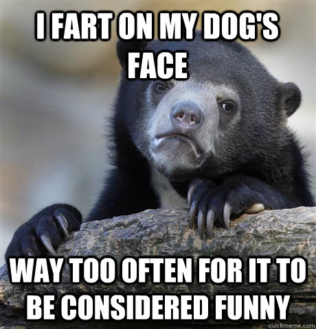 I Fart on my dog's face way too often for it to be considered funny  Confession Bear
