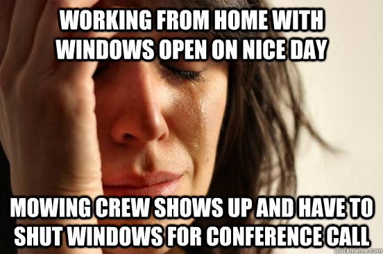 Working from home with windows open on nice day Mowing crew shows up and have to shut windows for conference call  First World Problems