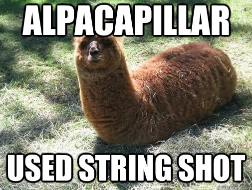 alpacapillar used string shot  Alpacapillar