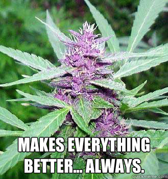  Makes everything better... always.  marijuana