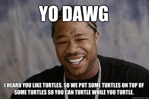 YO DAWG I heard you like turtles. So we put some turtles on top of some turtles so you can turtle while you turtle.  Xzibit meme