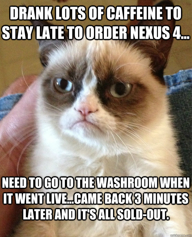 Drank lots of caffeine to stay late to order Nexus 4... Need to go to the washroom when it went live...Came back 3 minutes later and it's all sold-out.  Grumpy Cat