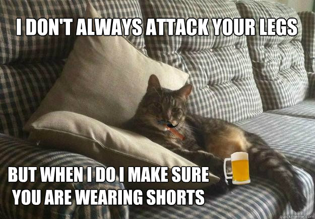 I Don't Always attack your legs but when i do i make sure you are wearing shorts  The Most Interesting Cat in the World