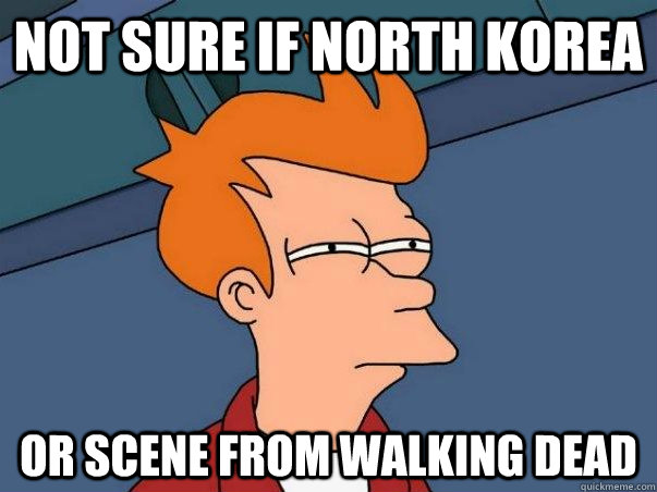 Not sure if North Korea or scene from Walking Dead  Not sure Fry