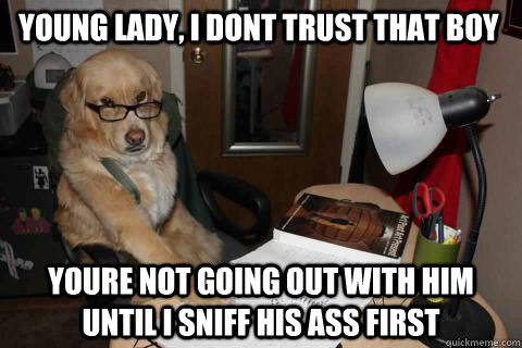 Young lady, i dont trust that boy youre not going out with him until i sniff his ass first - Young lady, i dont trust that boy youre not going out with him until i sniff his ass first  Another Disapproving Dad Dog