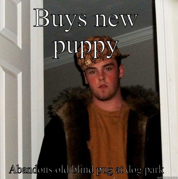 BUYS NEW PUPPY ABANDONS OLD BLIND PUG AT DOG PARK  Scumbag Steve