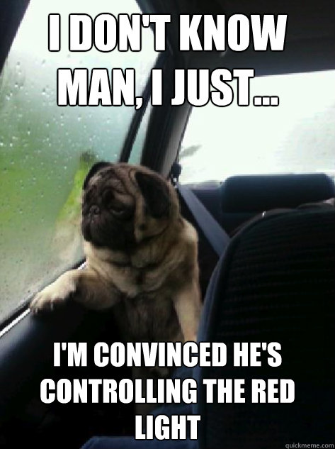 I don't know man, I just... i'm convinced he's controlling the red light  Introspective Pug
