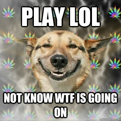 Play lol Not know wtf is going on  Stoner Dog