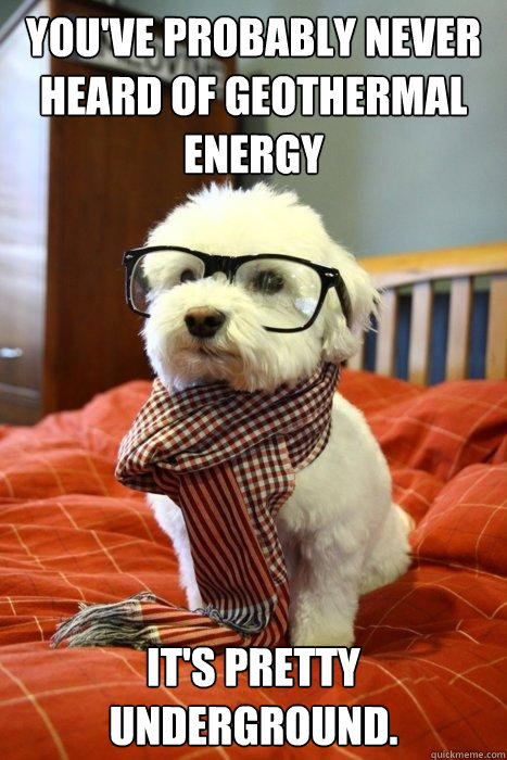 You've probably never heard of geothermal energy It's pretty underground.  Hipster Dog